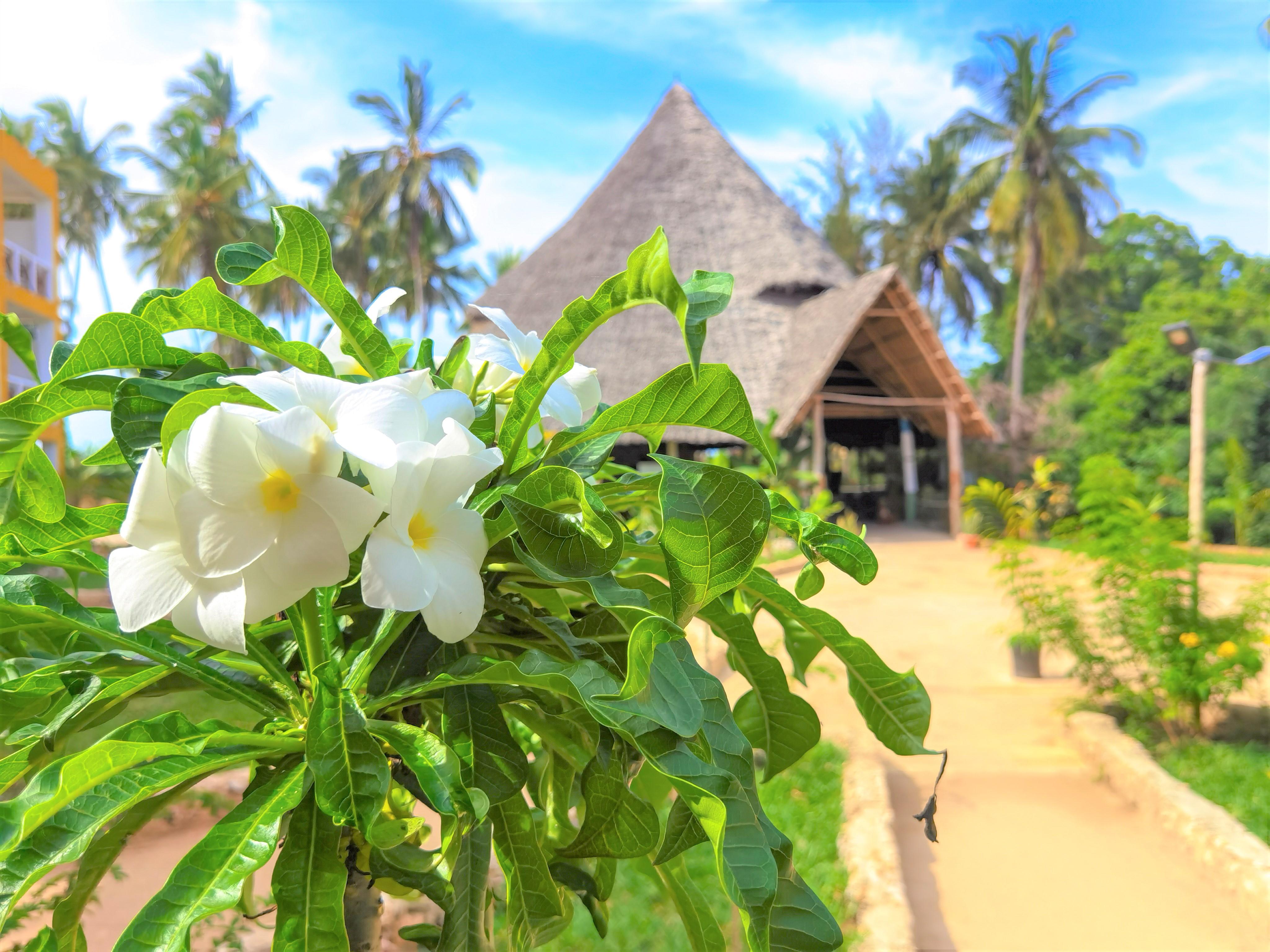 Reef & Beach Resort - Spa Jambiani Esterno foto