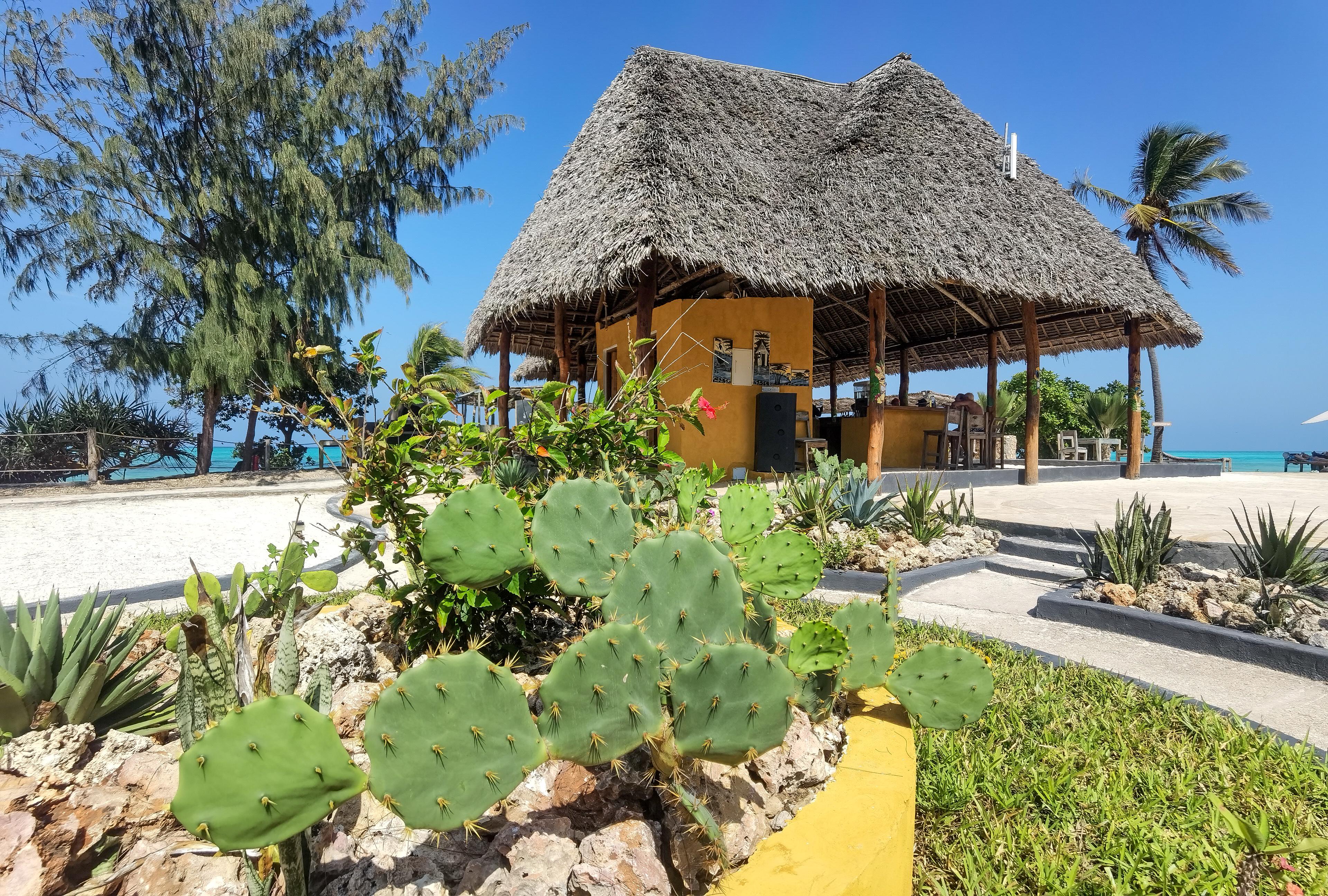 Reef & Beach Resort - Spa Jambiani Esterno foto