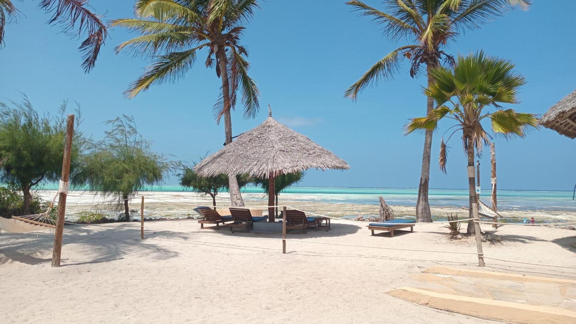 Reef & Beach Resort - Spa Jambiani Esterno foto