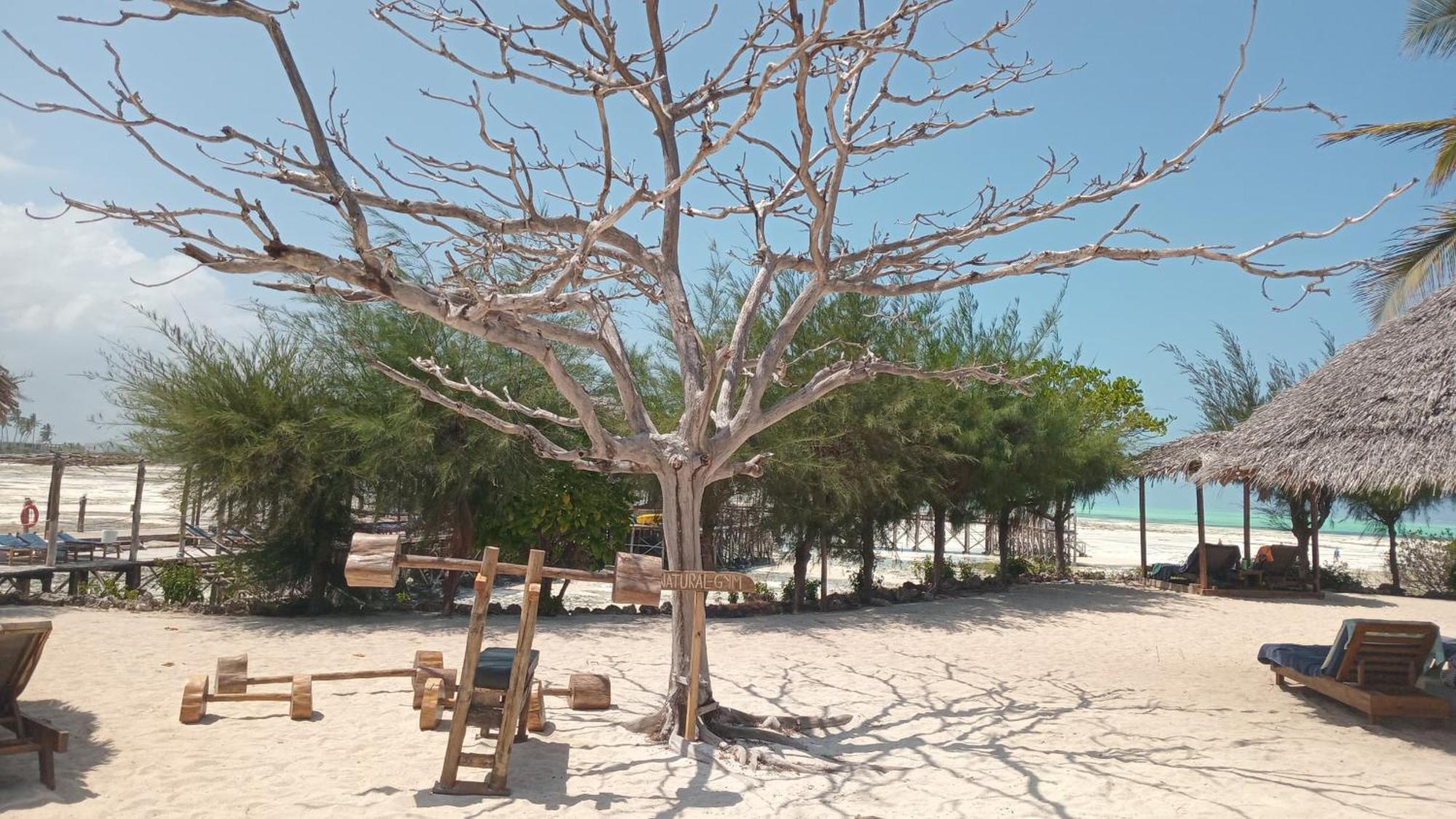 Reef & Beach Resort - Spa Jambiani Esterno foto